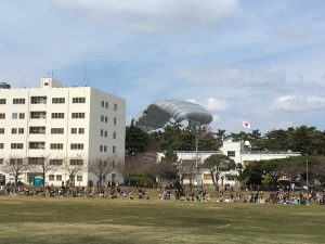 IMG_0517